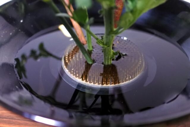 Bildbreite 280px Alt-Text anpassen