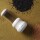 Porlex Keramik Sesam-Mühle JPM001 (Japan Import)