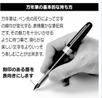 PLATINUM Füllfederhalter Plaisir G Pack Feder fein (F) Schwarz PL-PGB-1000.1F GP