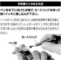 PLATINUM Füllfederhalter Plaisir G Pack Feder fein (F) Schwarz PL-PGB-1000.1F GP