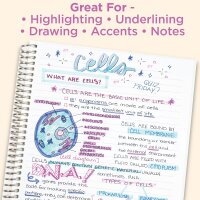 ZEBRA Mildliner Highlighter Cool & Refined Set 5 Pack (78205)