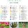 Tombow Farbstifte IROJITEN Band 2 30 Farben in Buchform CI-RTB-30C