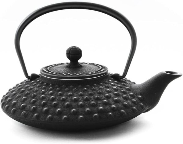 Iwachu Nanbu Tekki Teekanne Kanbin Schwarz 500 ml Kyusu Hira Arare TT13001BK