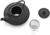 Iwachu Nanbu Tekki Teekanne Kanbin Schwarz 500 ml Kyusu Hira Arare TT13001BK