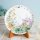 Noritake 23 cm Teller Sonderausgabe 2025 – My Neighbor Totoro