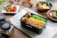Skater Antibakterielle 4-Punkt-Verschluss-Lunchbox 1-stufig 650ml Mein Nachbar Totoro Himbeere Studio Ghibli