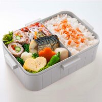 Skater Antibakterielle 4-Punkt-Verschluss-Lunchbox 1-stufig 650ml Mein Nachbar Totoro Himbeere Studio Ghibli
