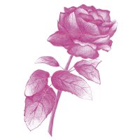 Too Copic Multiliner Set farbig 10 Stück Fineliner Strichstärke 0,3 mm