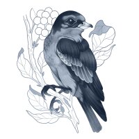 Too Copic Ciao SHADE Set Dark Cool Gray 4 Stk. Twin Marker 0,5 mm