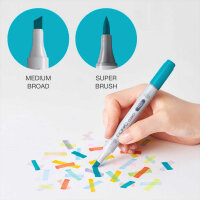 To Copic Ciao Marker 5+1 Set Manga 1 5 Allround-Layoutmarker inkl. 1 Multiliner 0,3 mm