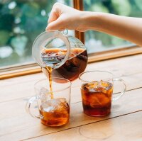 -Verpackung beschädigt- Hario V60 Glas-Brühset 600 ml transparent S-VGBK-02-T1