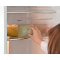 Gebraucht -Wie NEU- HARIO Ka-Ku Tea Bottle Kaltgebrühte Teeflasche Rauchgrün 1200ml  KAB-120-SG