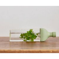Gebraucht -Wie NEU- HARIO Ka-Ku Tea Bottle Kaltgebrühte Teeflasche Rauchgrün 1200ml  KAB-120-SG