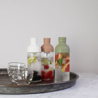 HARIO Filter In Flasche 300ml Rauchgrün FIB-30-SG