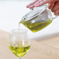 HARIO Teapot Zen – Hitzebeständige Glas-Teekanne 450ml CHZ-45T