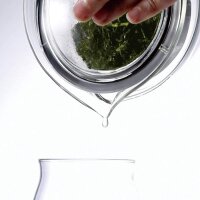 HARIO Teapot Zen – Hitzebeständige Glas-Teekanne 450ml CHZ-45T