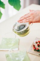 HARIO Teapot Zen – Hitzebeständige Glas-Teekanne 450ml CHZ-45T