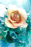 Turner Transparente Aquarellfarbe – 24 Farben Set 5 ml Profi-Qualität Einfarbige Pigmente Made in Japan WT00524C