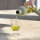 Hario Cold Brew Filter in Bottle 750ml – Smokey Green FIB-75-SG