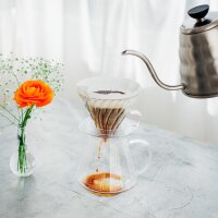 Hario V60 Glas-Brühset 600 ml transparent S-VGBK-02-T