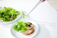 Gebraucht -Sehr GUT- YOSHIKAWA EAtoCO Saibashi Zange AS0029